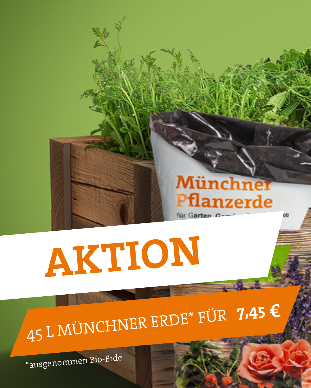 Ankündigung Münchner Erde zum Aktionspreis